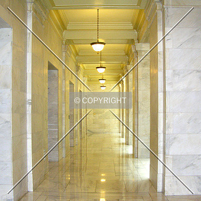 Arkansas State Capitol by Chris Patriarca