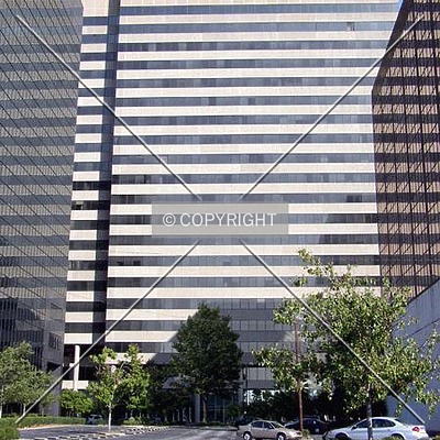 Palmetto Center by Chris Patriarca