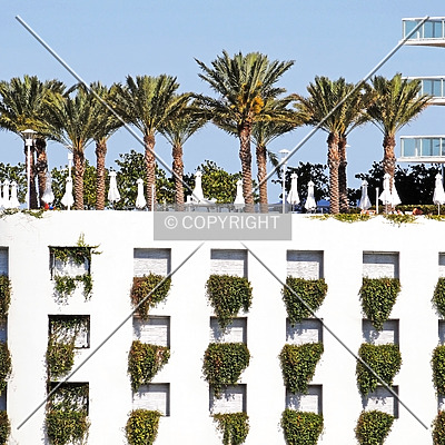 ICON at South Beach by Jorge Molina