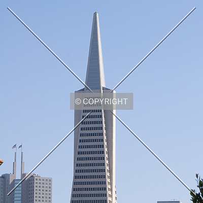 Transamerica Pyramid by Martin Bugajski