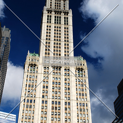 Woolworth Building by Royce Douglas