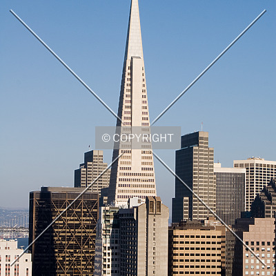 Transamerica Pyramid by Martin Bugajski