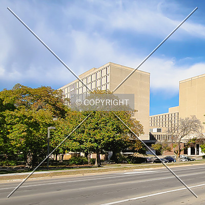 Maple Hall by Ryan Hildebrand