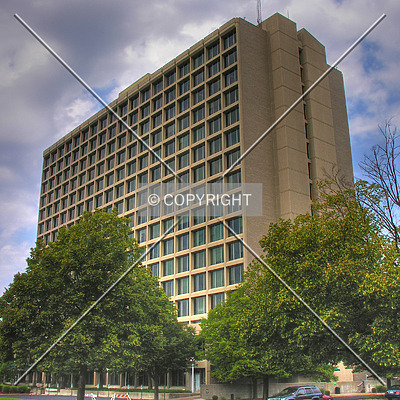 Watterson Towers by Lizzie Morrison