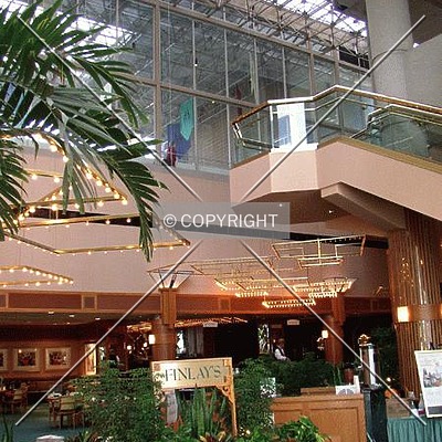 Palmetto Center by Chris Patriarca