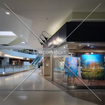 Chesterfield Mall by Ryan Hildebrand