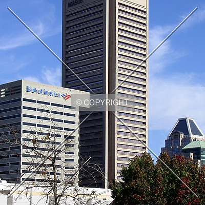 Transamerica Tower by Chris Patriarca