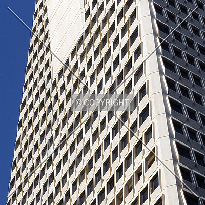 Transamerica Pyramid by Serdica