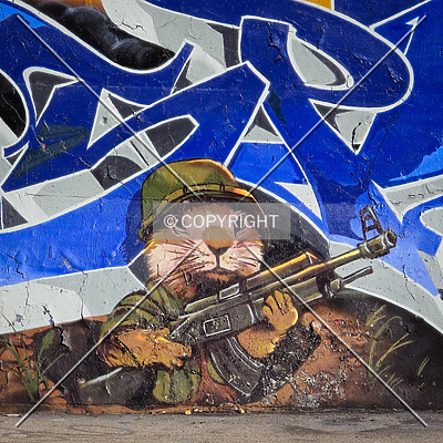 Saint Louis City Flood Wall (South Wall) by Ryan Hildebrand