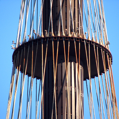 Sydney Tower by Wilson Ling