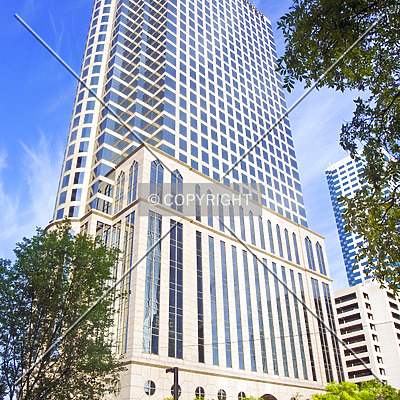 100 North Tampa by Jorge Molina