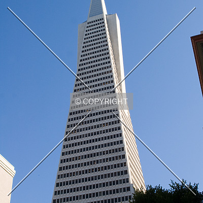 Transamerica Pyramid by Martin Bugajski