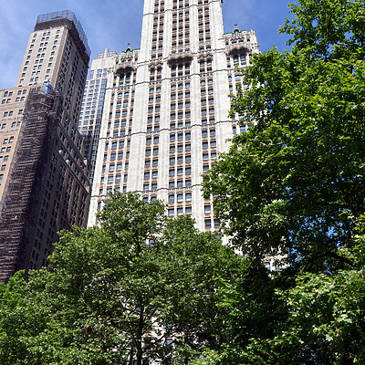 Woolworth Building by John W. Cahill