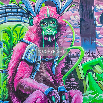 Saint Louis City Flood Wall (South Wall) by Ryan Hildebrand