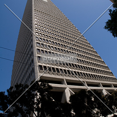 Transamerica Pyramid by Martin Bugajski