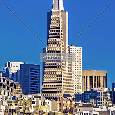 Transamerica Pyramid by Jorge Molina