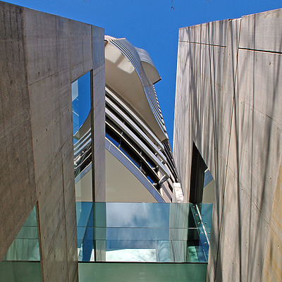 The Cove by John Bek