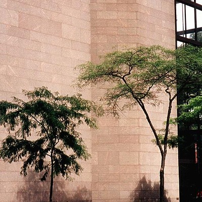 Ford Foundation Building by Nate Lindsey