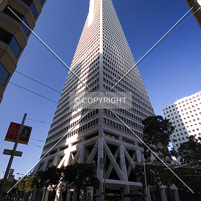 Transamerica Pyramid by Serdica