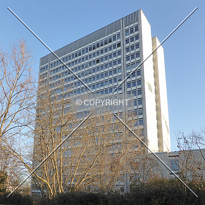 Hochhaus im Tulpenfeld by Nephilim