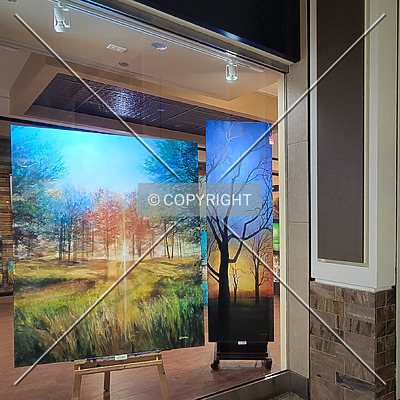 Chesterfield Mall by Ryan Hildebrand