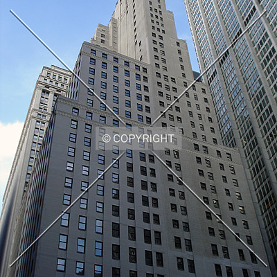 20 Pine by Royce Douglas