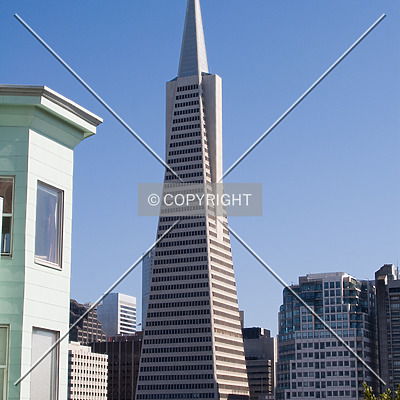 Transamerica Pyramid by Martin Bugajski