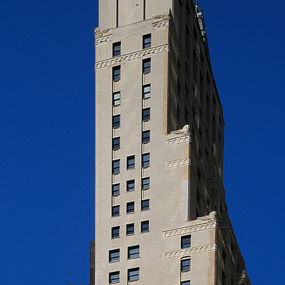 20 Pine by David Guija