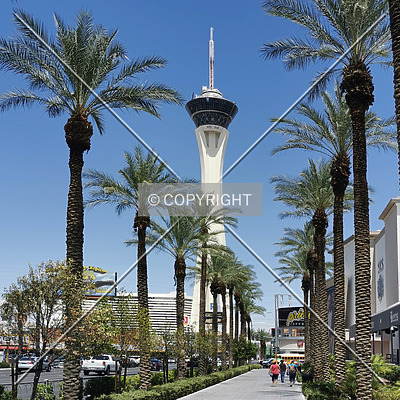 Stratosphere Tower by Nephilim