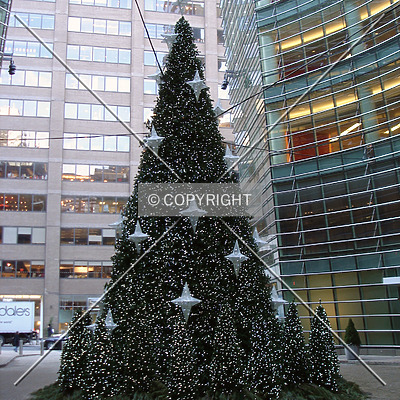 Bloomberg Tower by Royce Douglas