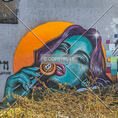 Saint Louis City Flood Wall (South Wall) by Ryan Hildebrand