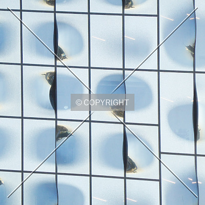 Elbphilharmonie by Nephilim