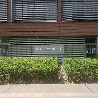 Allianz-Kai by Nephilim