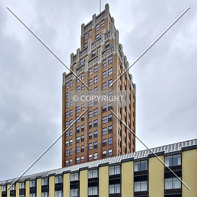 The Giacomo by Ryan Hildebrand