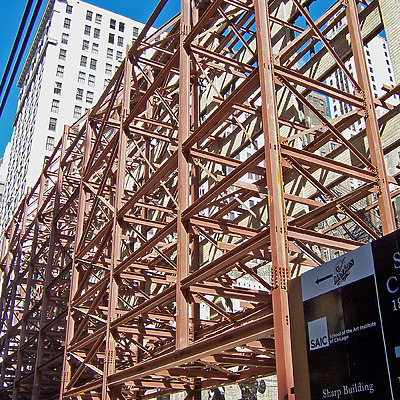 The Legacy at Millennium Park by Shawn Ursini