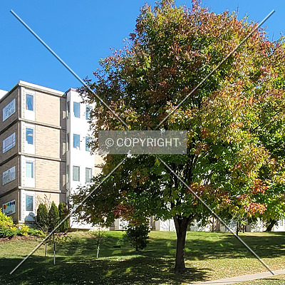 Buchanan Hall by Ryan Hildebrand