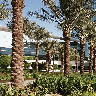 Kingdom Centre by Daniel Kieckhefer