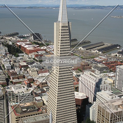 Transamerica Pyramid by Emmanuel D.
