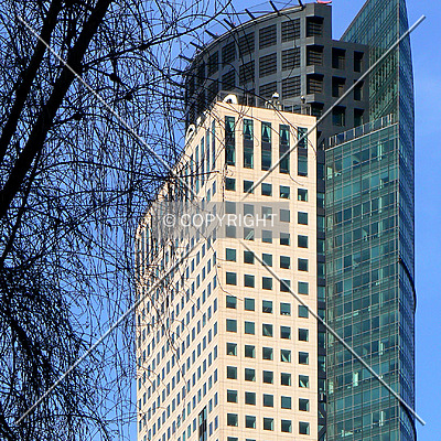 Torre Mayor by Luis Ibáñez