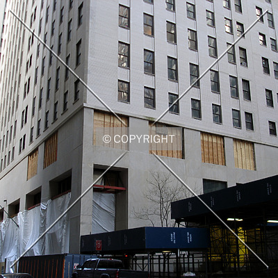 20 Pine by Royce Douglas