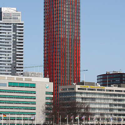 The Red Apple by Michiel van Dijk