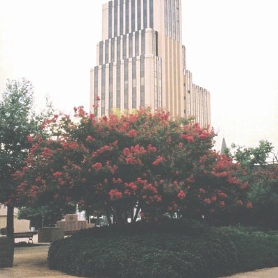 The Peoples Petroleum Building by Kevin Lehnhardt
