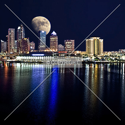 SunTrust Financial Centre by Jorge Molina