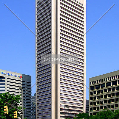 Transamerica Tower by Chris Patriarca