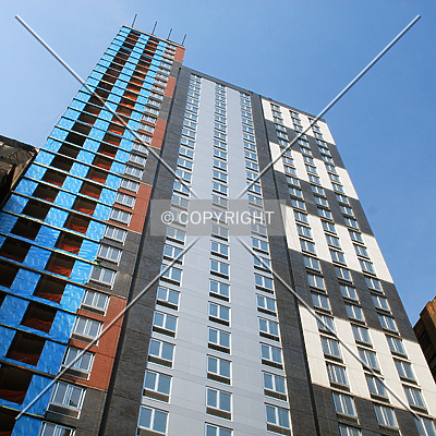 Hampton Inn/Candlewood Suites/Holiday Inn Express by Royce Douglas