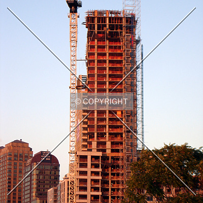 The Rushmore by Royce Douglas