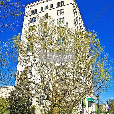 Seagle Building by Jorge Molina