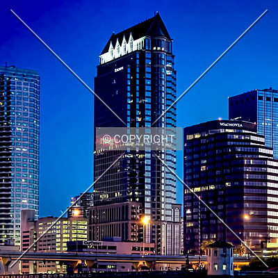 100 North Tampa by Jorge Molina