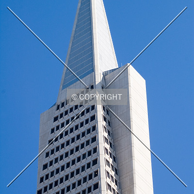 Transamerica Pyramid by Martin Bugajski