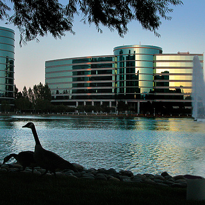 Oracle 600 by Jim Schwartz
